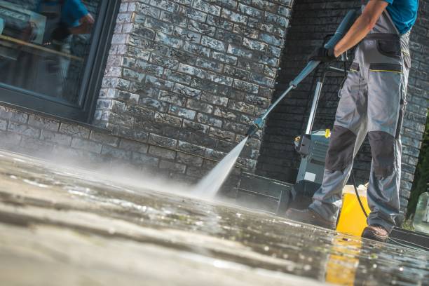 Best Sidewalk and Walkway Cleaning  in Dyer, IN