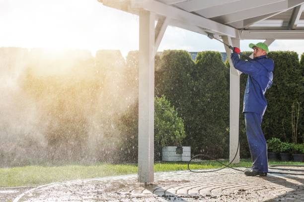 Best Building Exterior Washing  in Dyer, IN