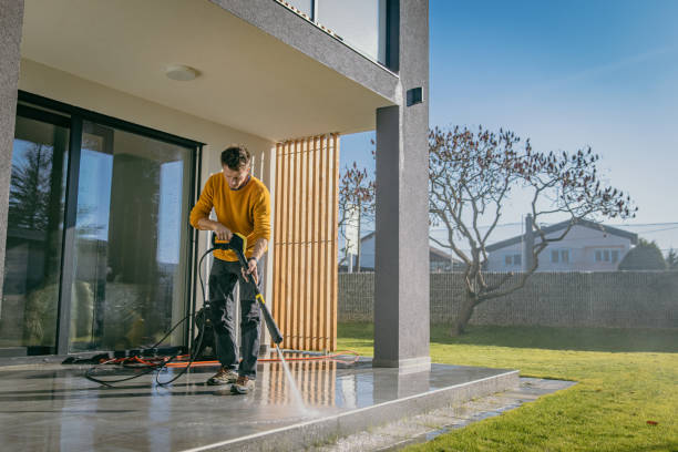 Best Roof Washing  in Dyer, IN